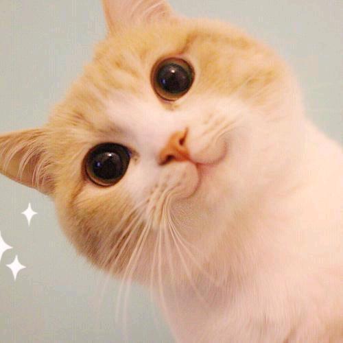 趣来趣往