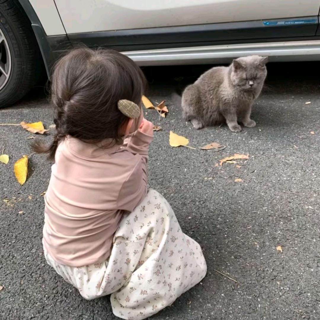 Xᯅ (･ω･｡)♡l