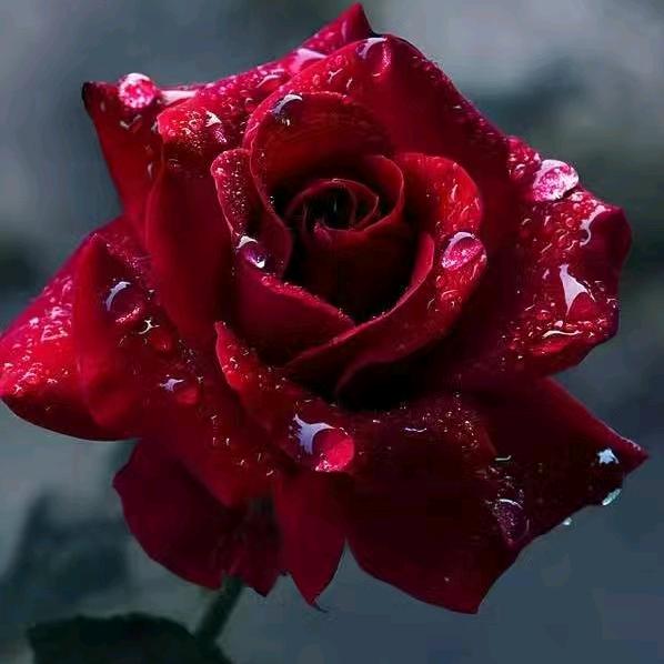💝好🎊好🥀爱☘️自🌈己❤️🌹