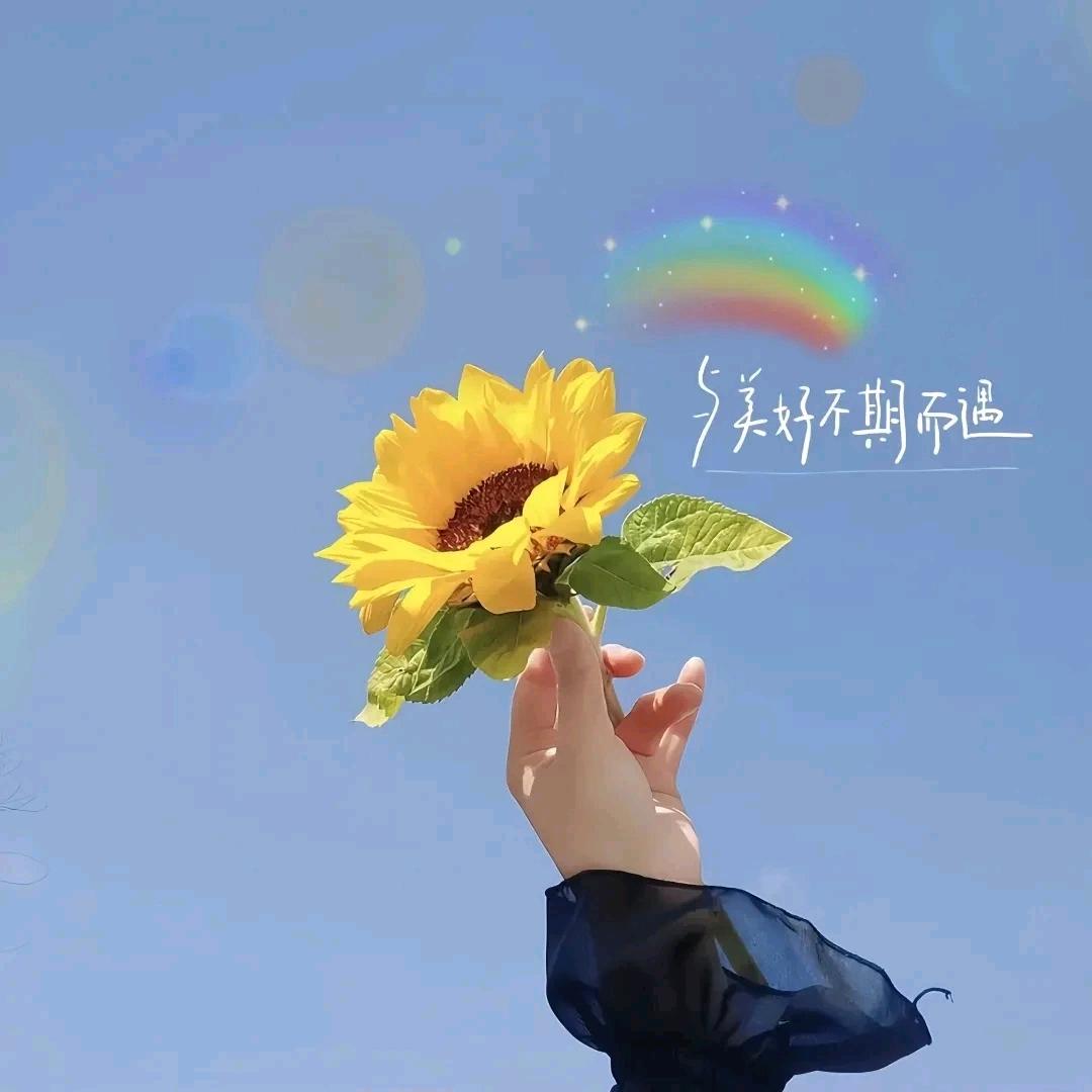 遇颜¹³¹⁴s