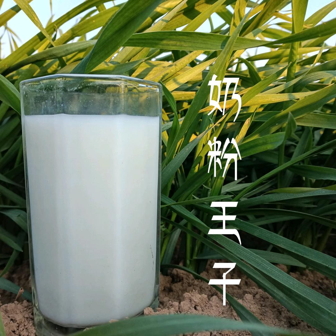 奶粉王子