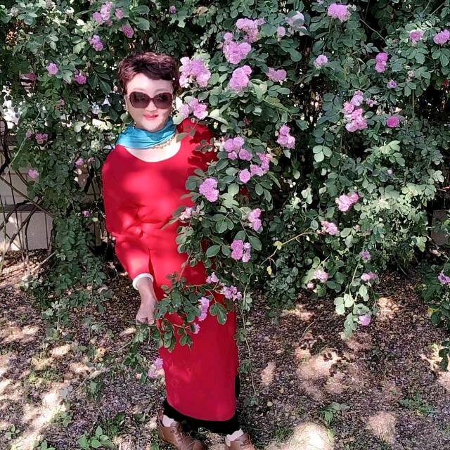 桂花香。(54年马)