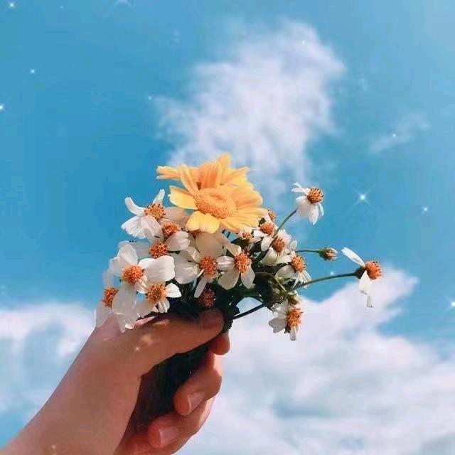 欢喜之心度日常