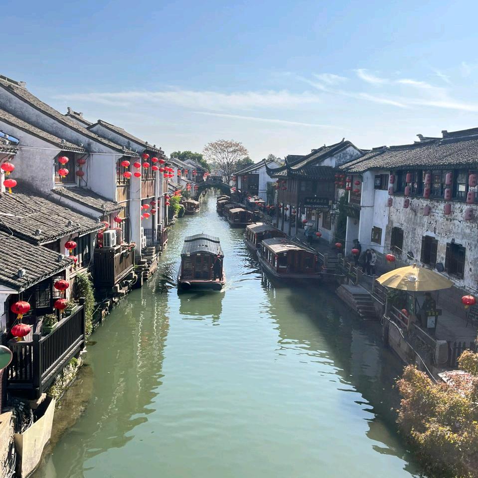 漂逸的甘蔗