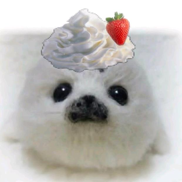 蓝白毛茸茸芒果核