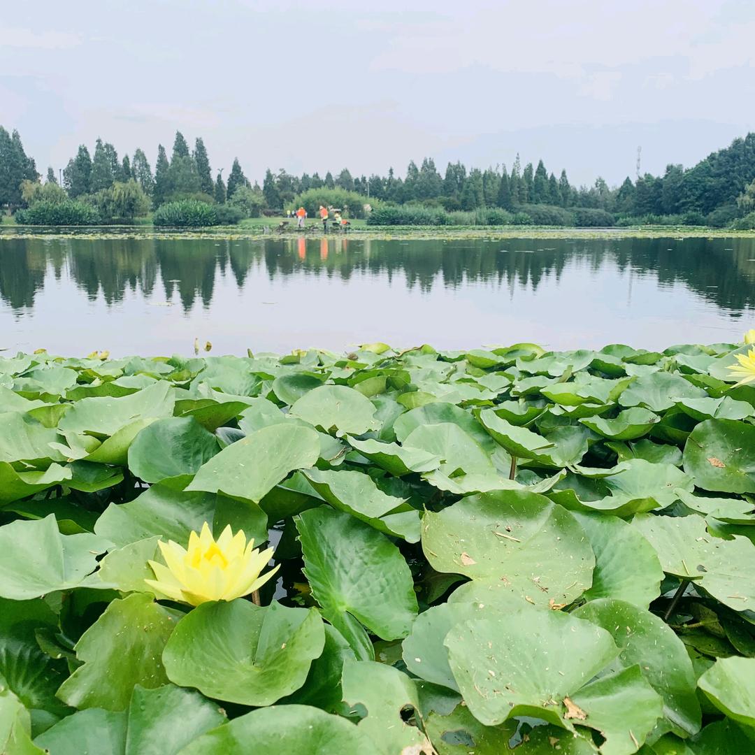 平安❤️❤️