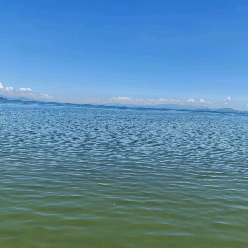 西湖的水