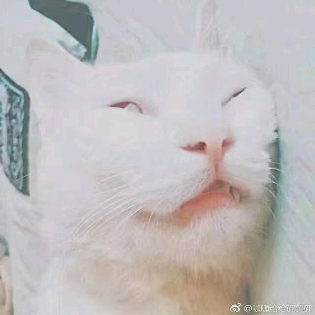 我不是徐萌