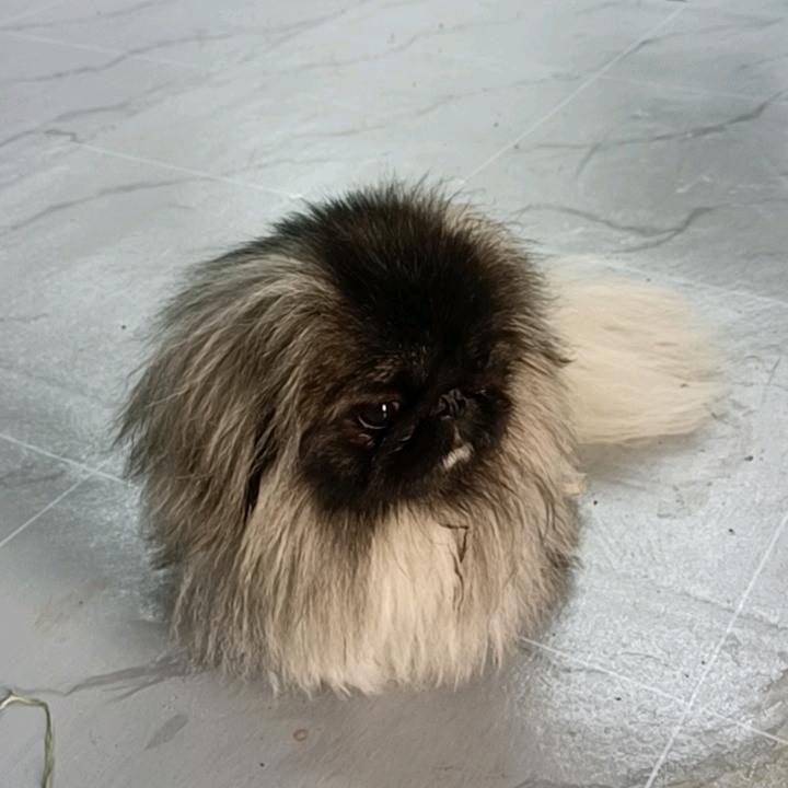 艾曼