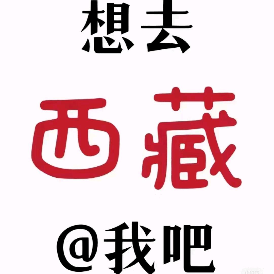 西藏唐唐汽车旅游咨询