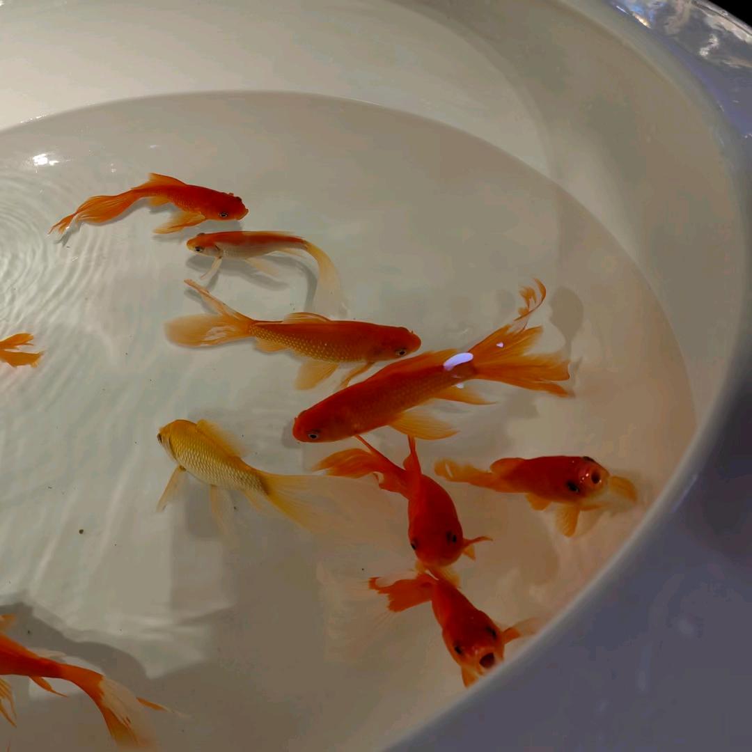 请你尽快解绑2222