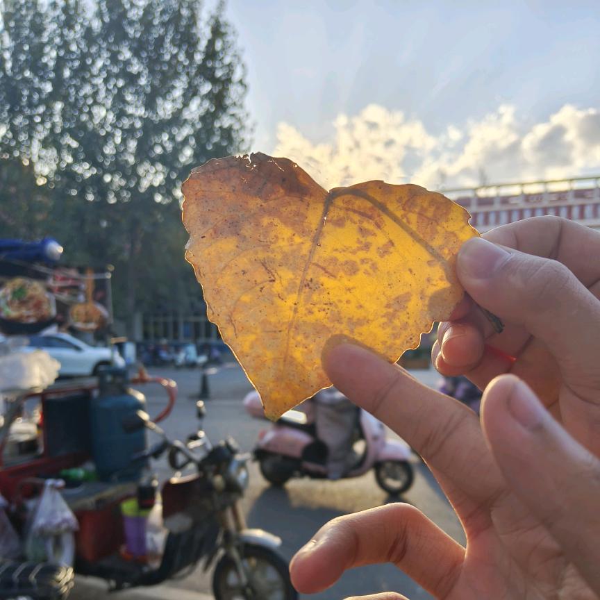 心动不如什么