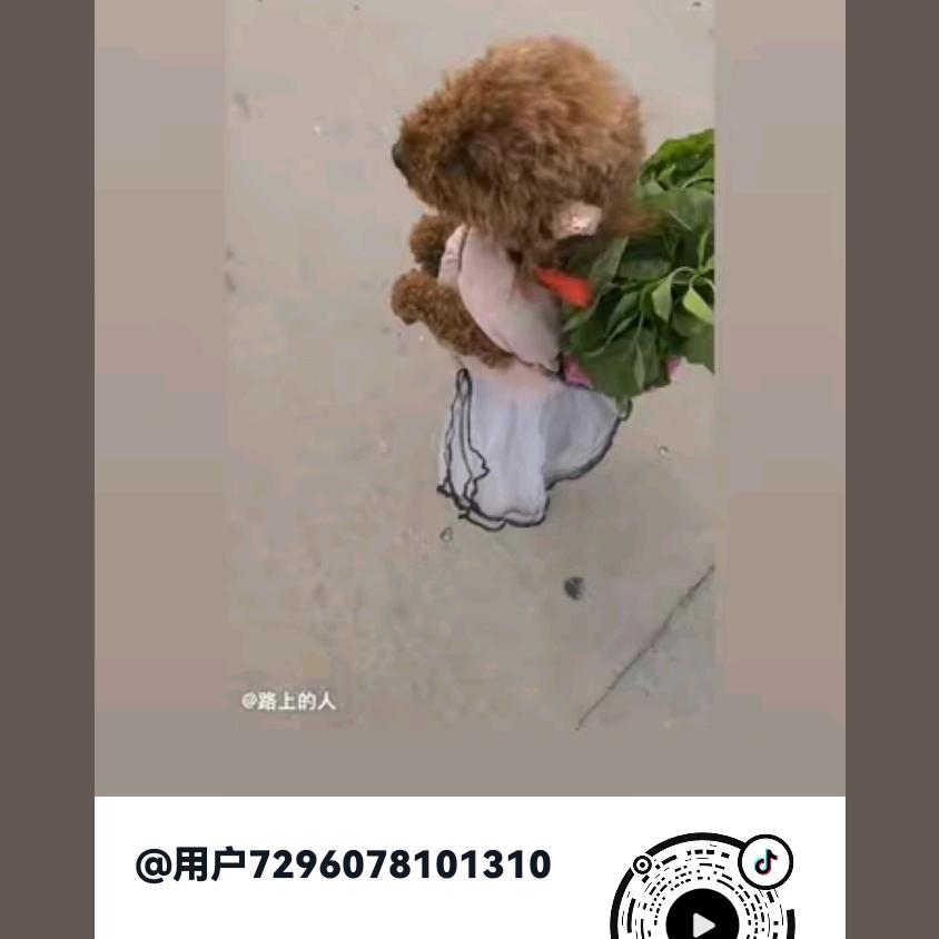 路上的人