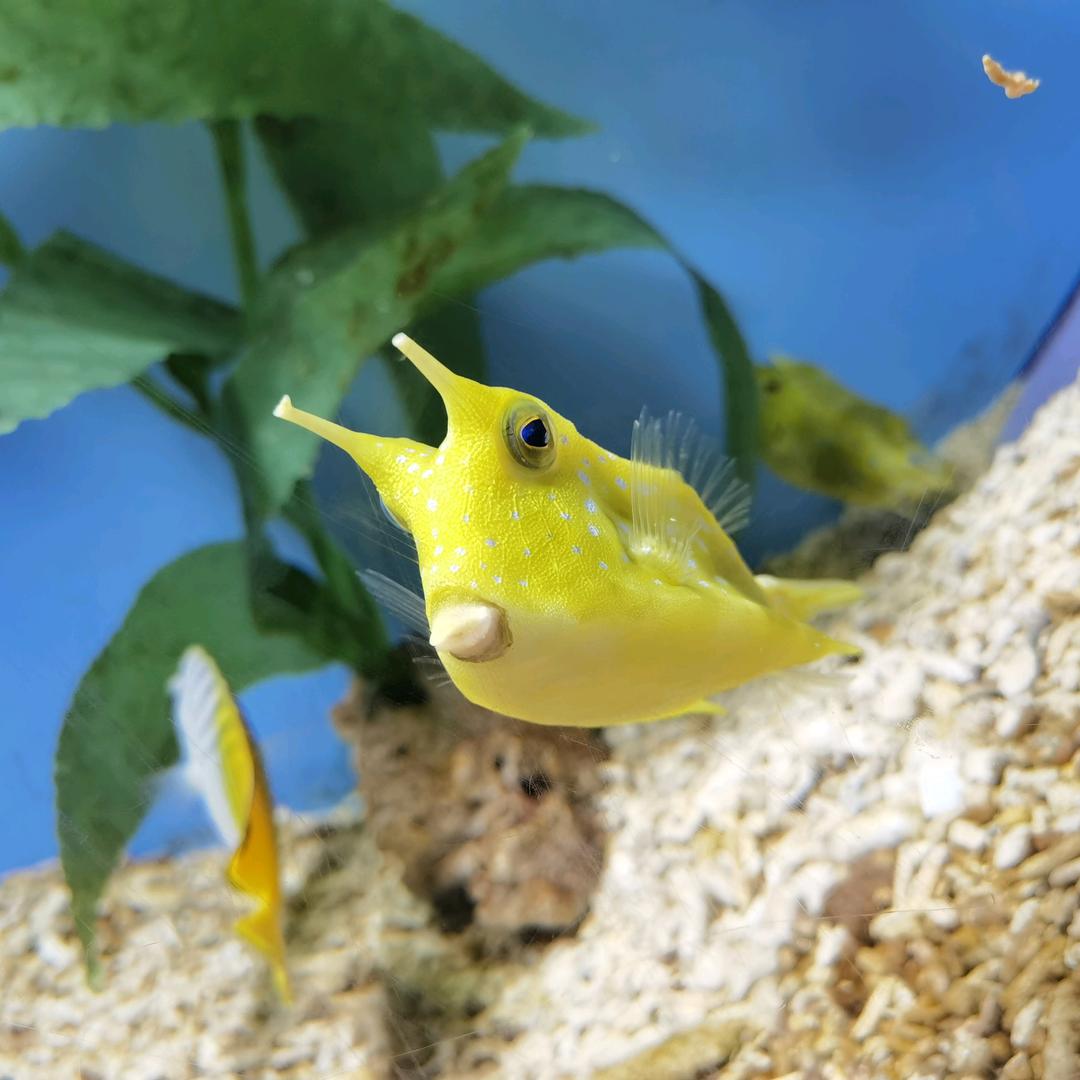 美学我是认真的