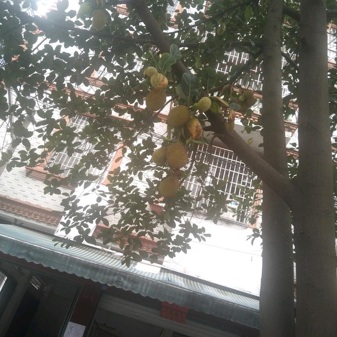 用户7375064365552冬子