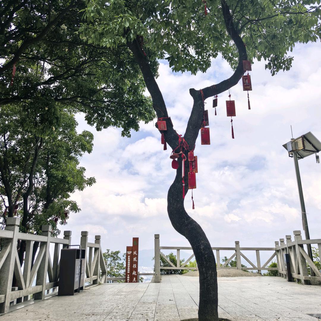 来淘一份姻缘吧