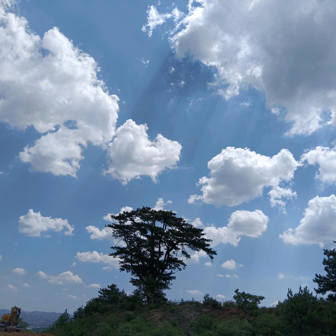 用户447717132861云淡风轻