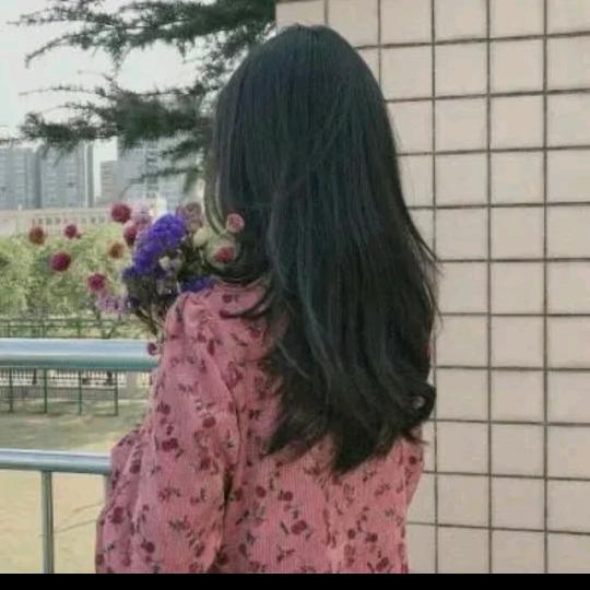 南柯（小学资料）