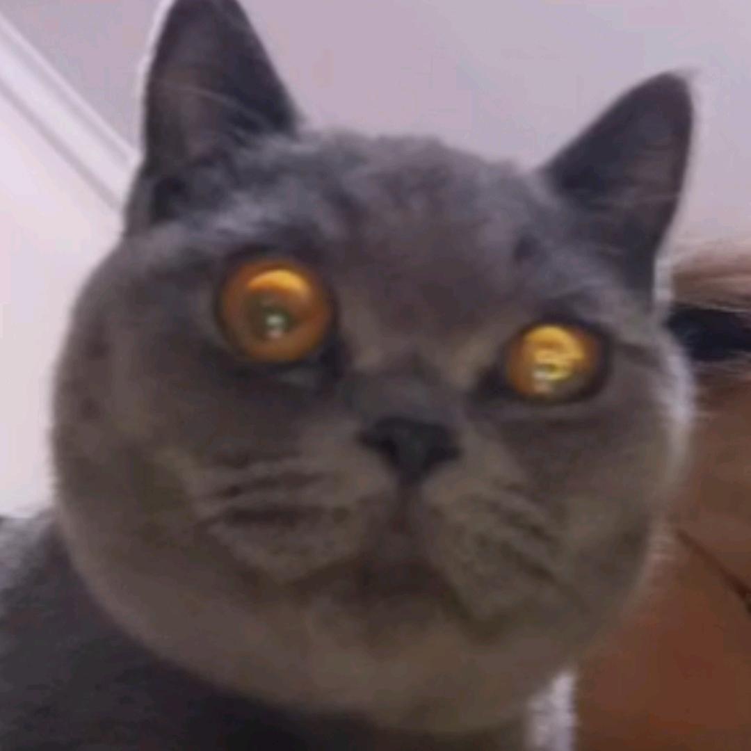 撒子