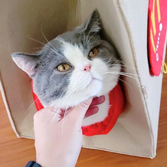 用户名10917193头像