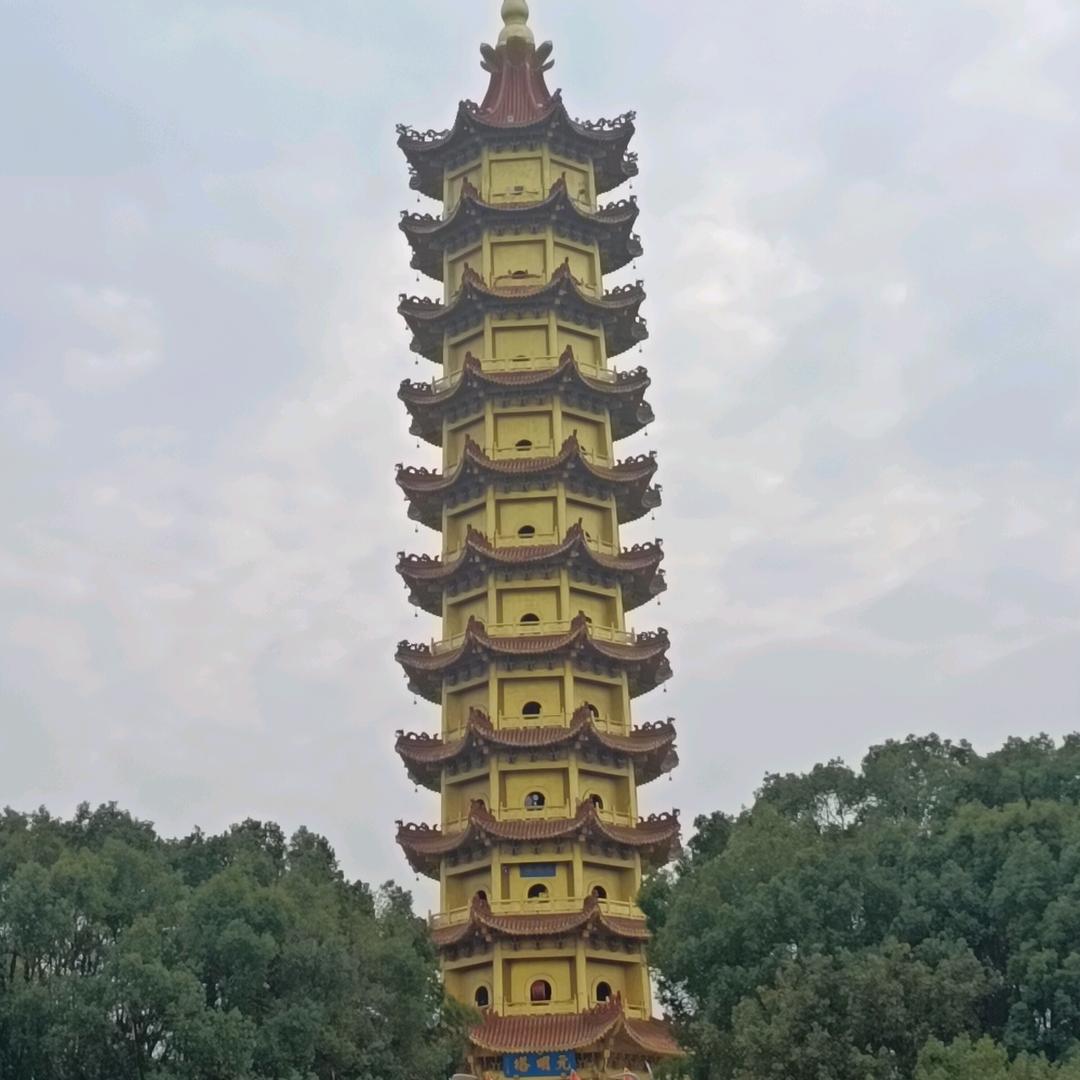 生活