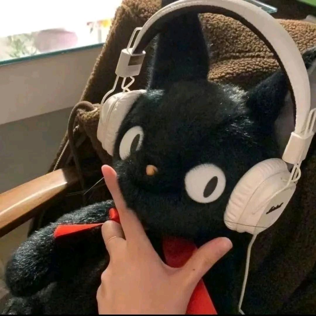 柴可夫斯鸡🎶