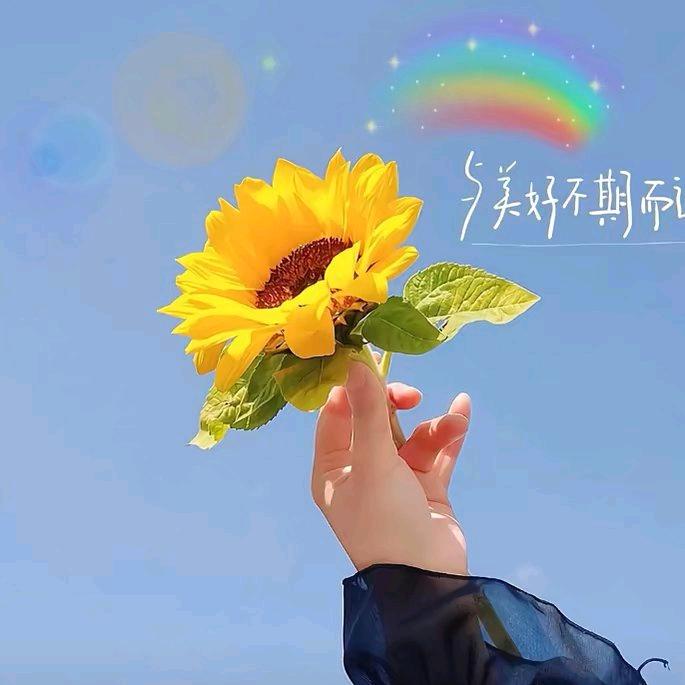 🚬习惯ꦹ一个⃨人ꦿ꧉ᩚ