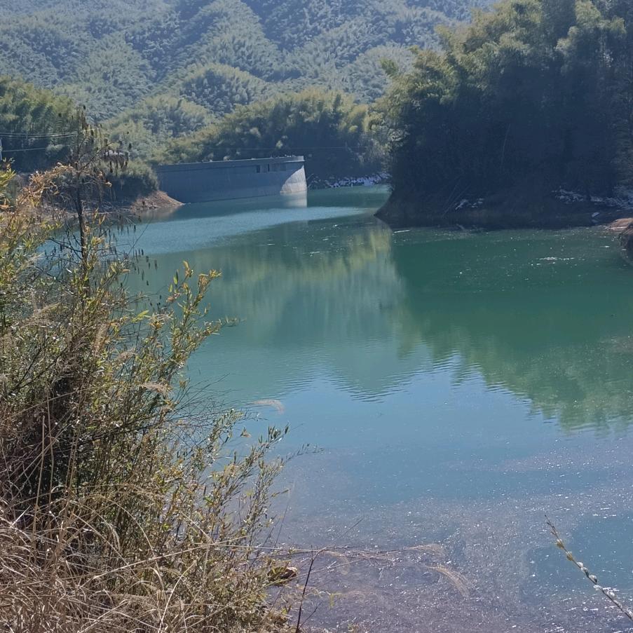 你发财