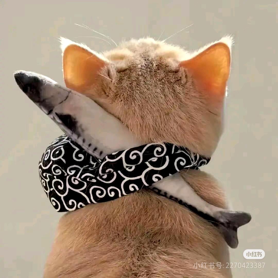 小徐被骗小鱼干