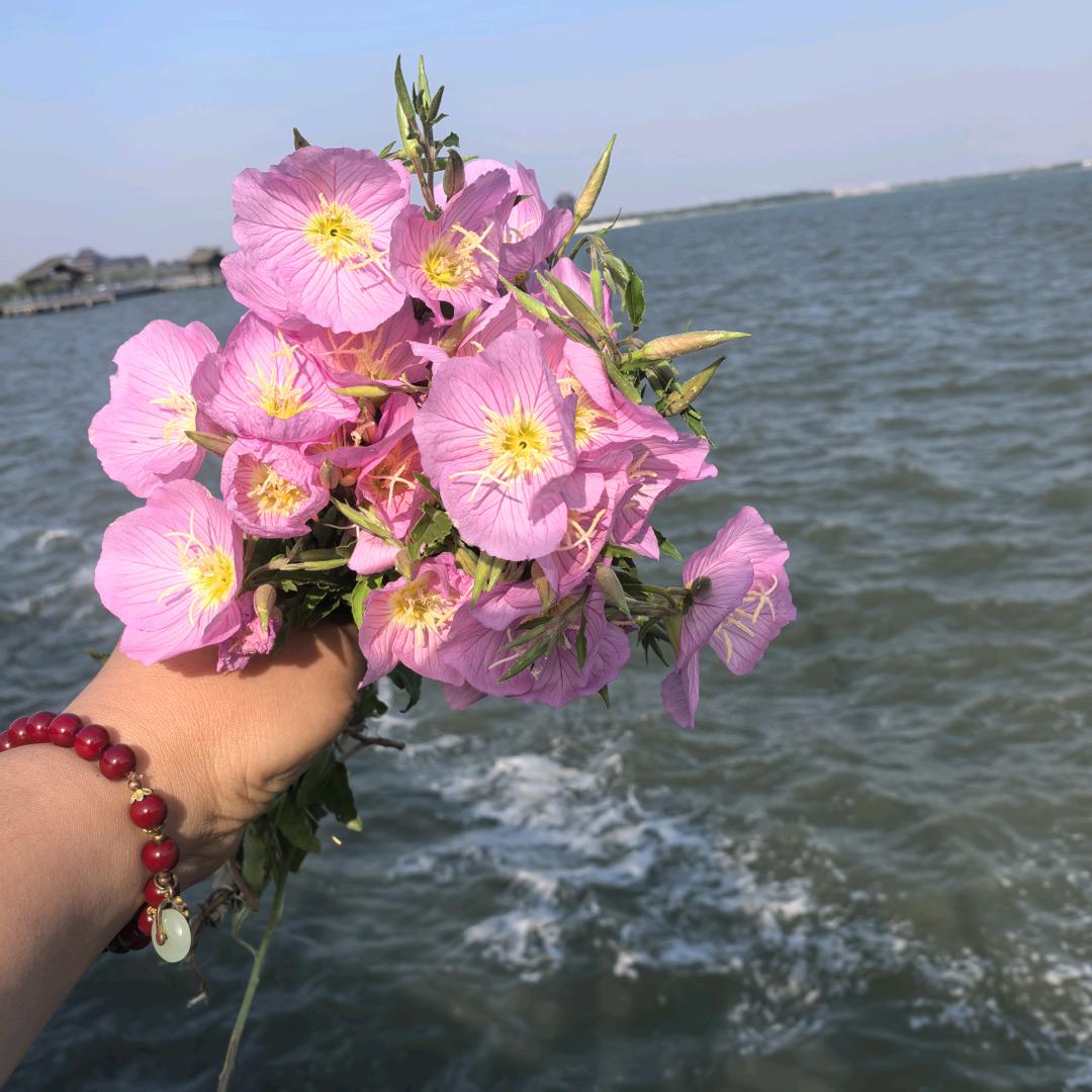 世上本无事，庸人自扰之！