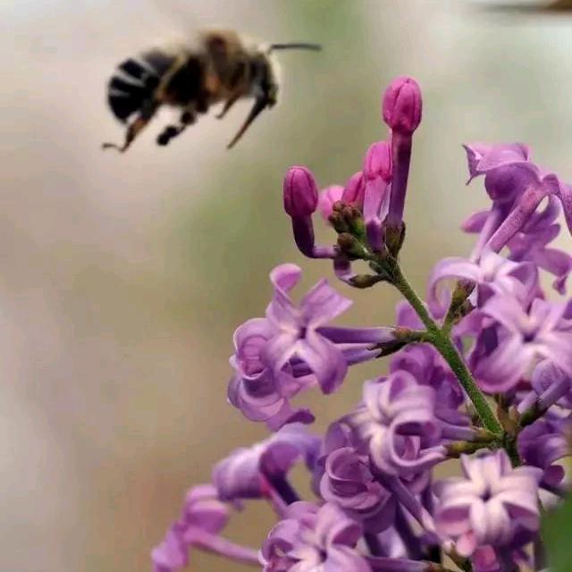 来世无忧头像