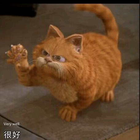 一只涵宝宝