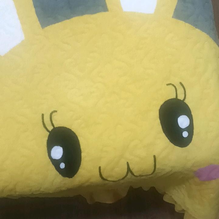 不要在来伤害我，不在碰情