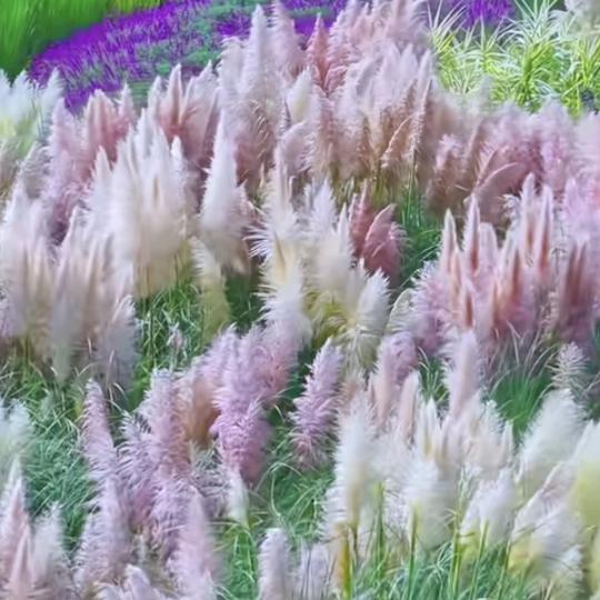 余生和让自己开心的在一起