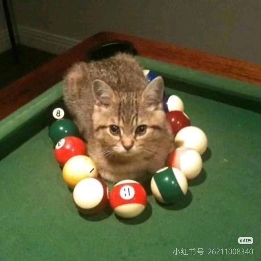 零碎的希望(求推荐版)