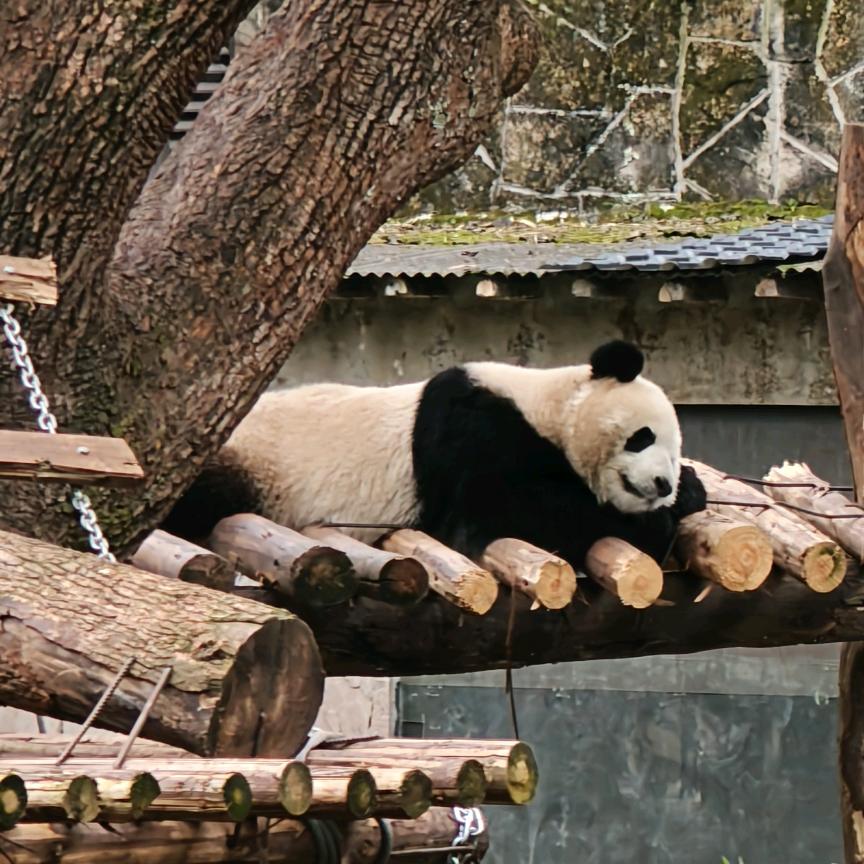实习小徐历险记（马上报复性暴富版）