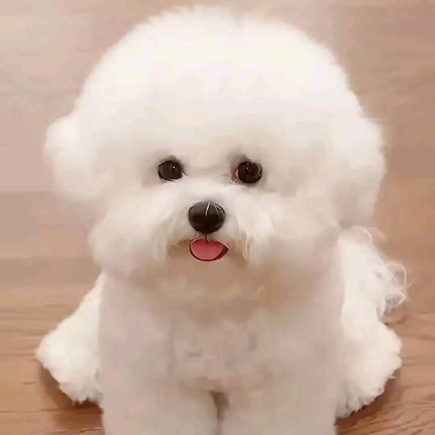 蓝海