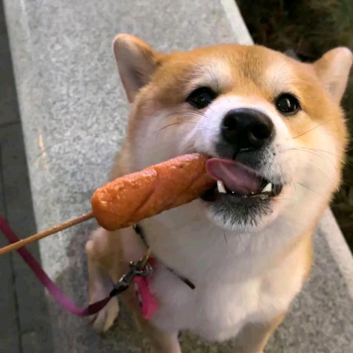 川子