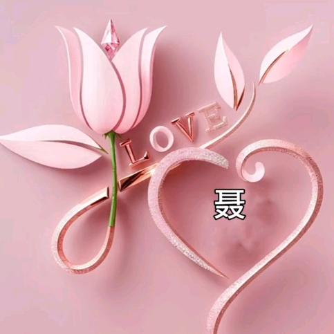 聂