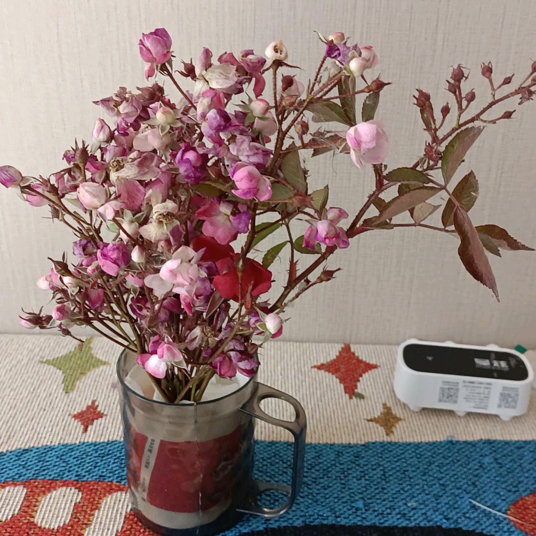 葫芦娃