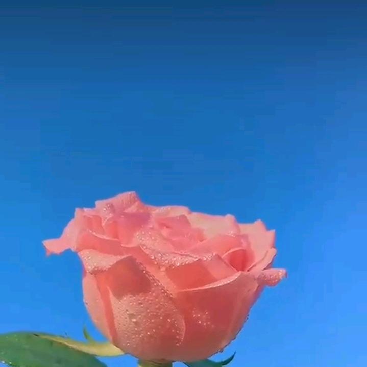 我想和你有个家
