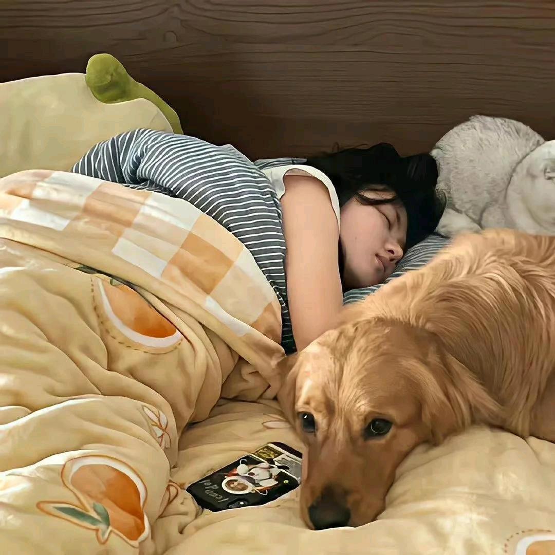 比狗困