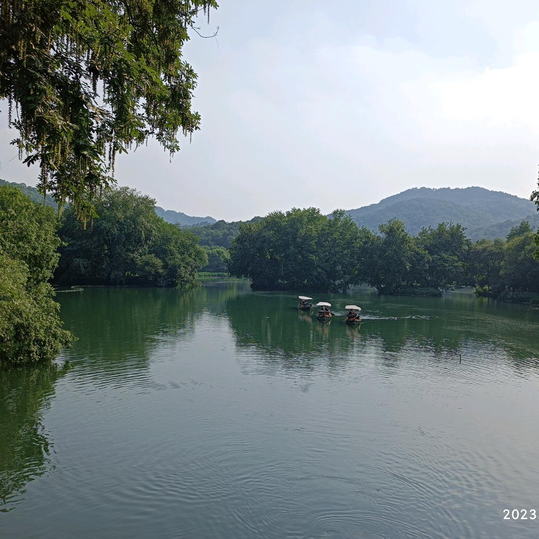 饶