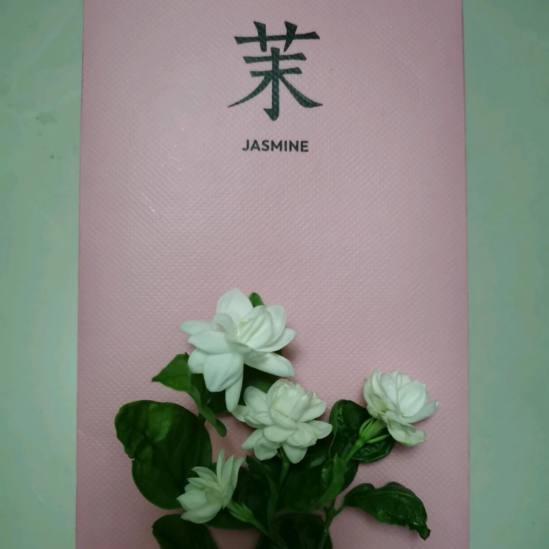 人生如梦