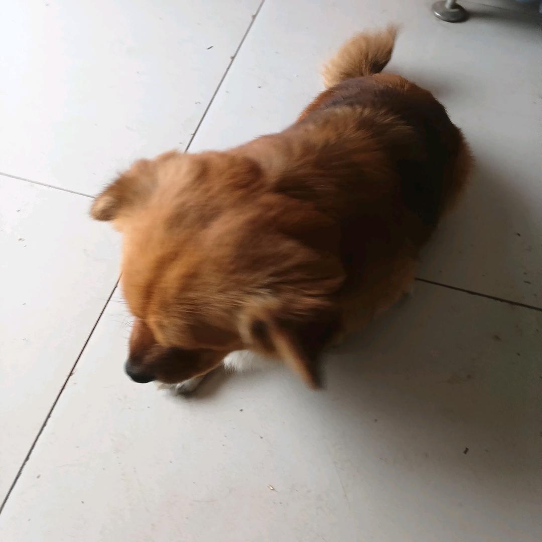 樊鑫亿一樊风顺