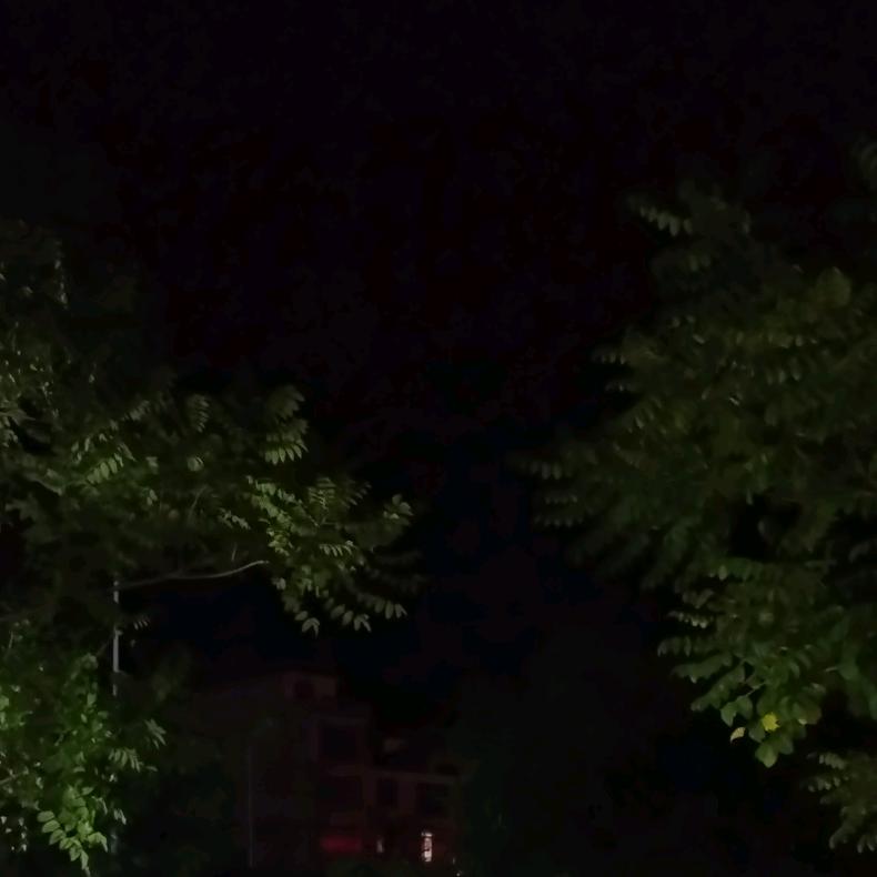 央芝初生鲜
