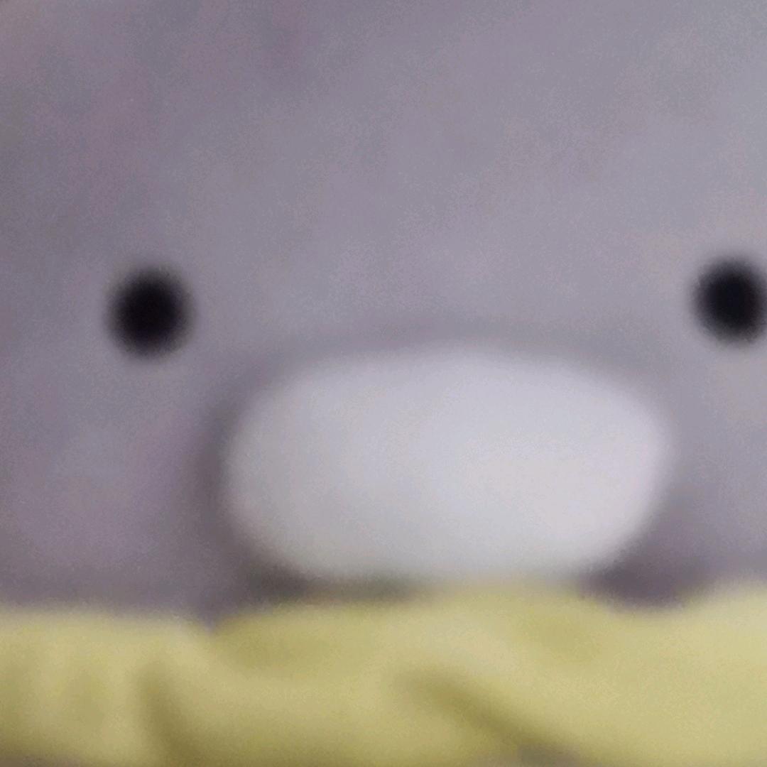 阿肥
