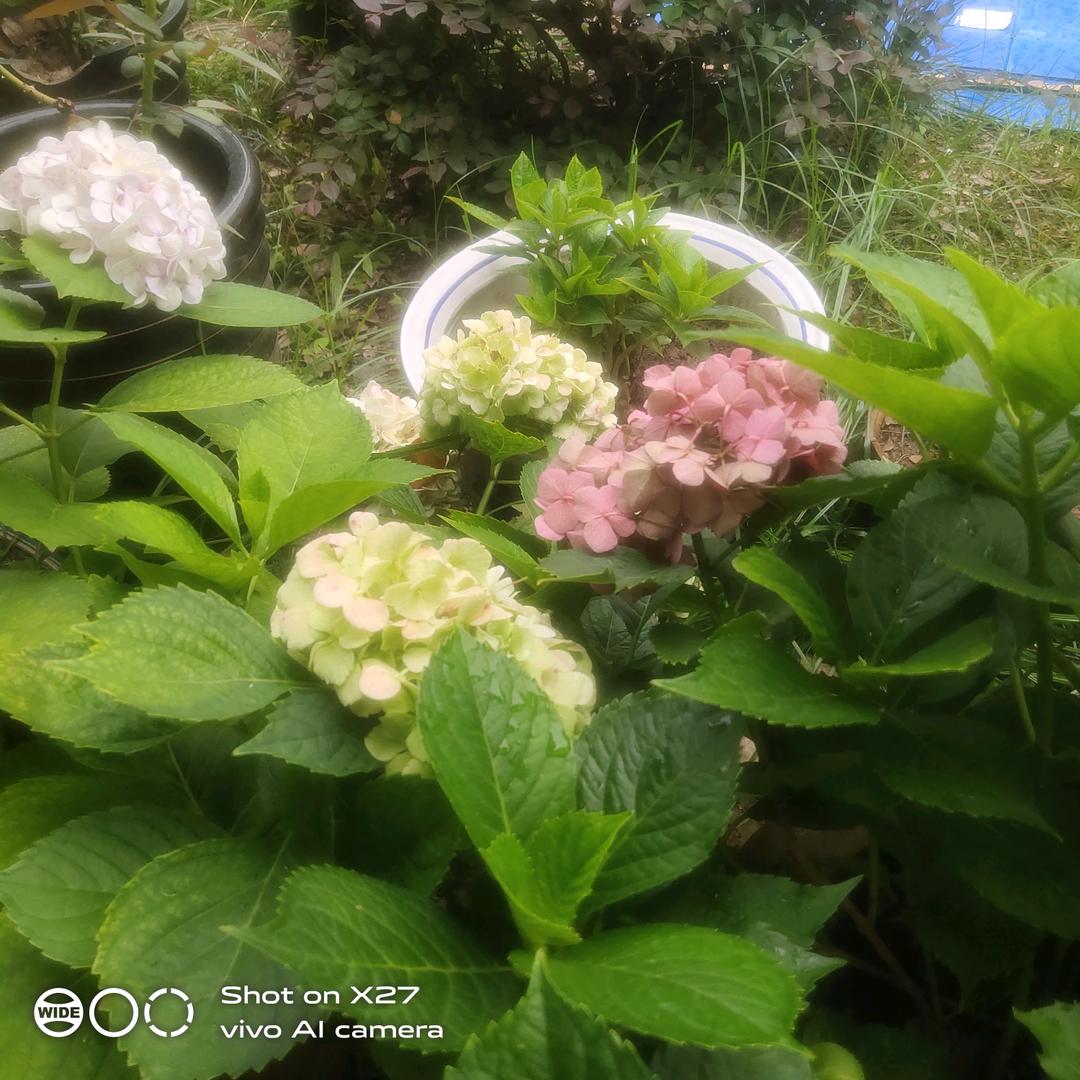雨后天晴