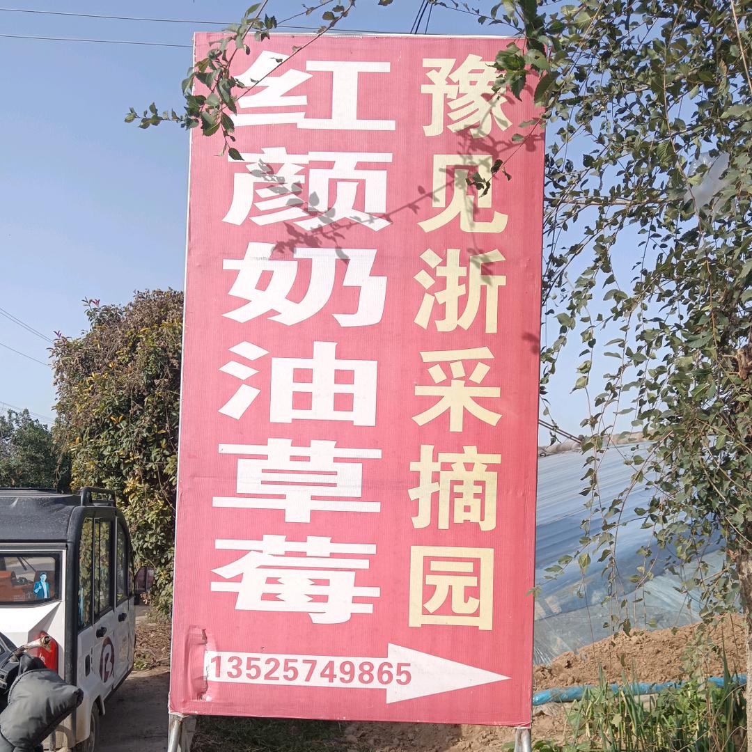 豫见浙草莓采摘园