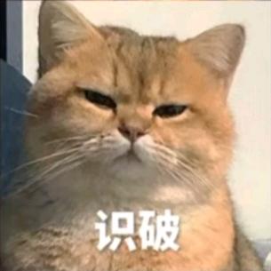 向阳啊